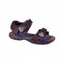491_brown_1.jpg