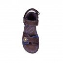 491_brown_2.jpg